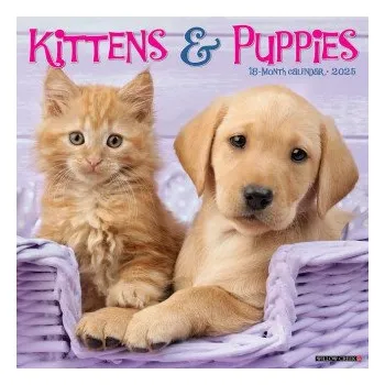 Kalendář Kittens & Puppies 2026 12 X 12 Wall Calendar (EN)