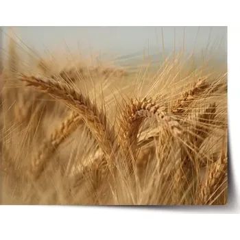 Plakát Sablio Plakát Klasy 2 - 60x40 cm