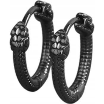 Náušnice Pánské náušnice s černým dvojitým hadem v hip hopovém stylu, stříbro S925, černá