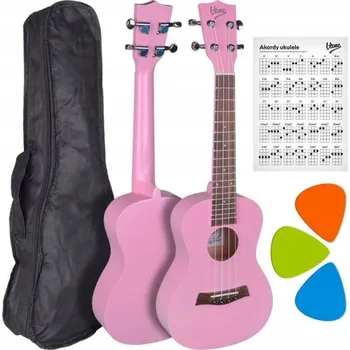 Strunný nástroj Koncertní ukulele V-Tone