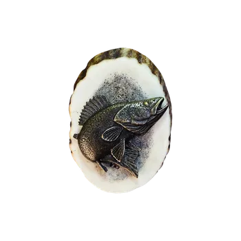 Zubíček Candát (parohové bolo - řez)