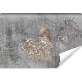 Fototapeta Fototapeta do obýváku BETON Ornamenty Abstrakce Labuť 90x60