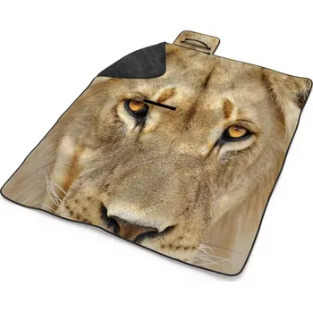 deka Sablio Plážová deka Pohled lvice: 200x140 cm