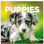 Notique Nástěnný poznámkový kalendář…