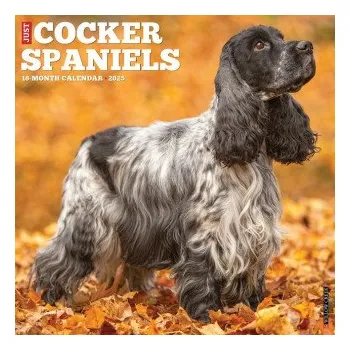 Kalendář Cocker Spaniels 2026 12 X 12 Wall Calendar (Brožovaná)