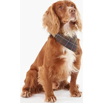 Šátek Šátek pro domácí mazlíčky Barbour Tartan Dog zelená barva DAC0013 87X