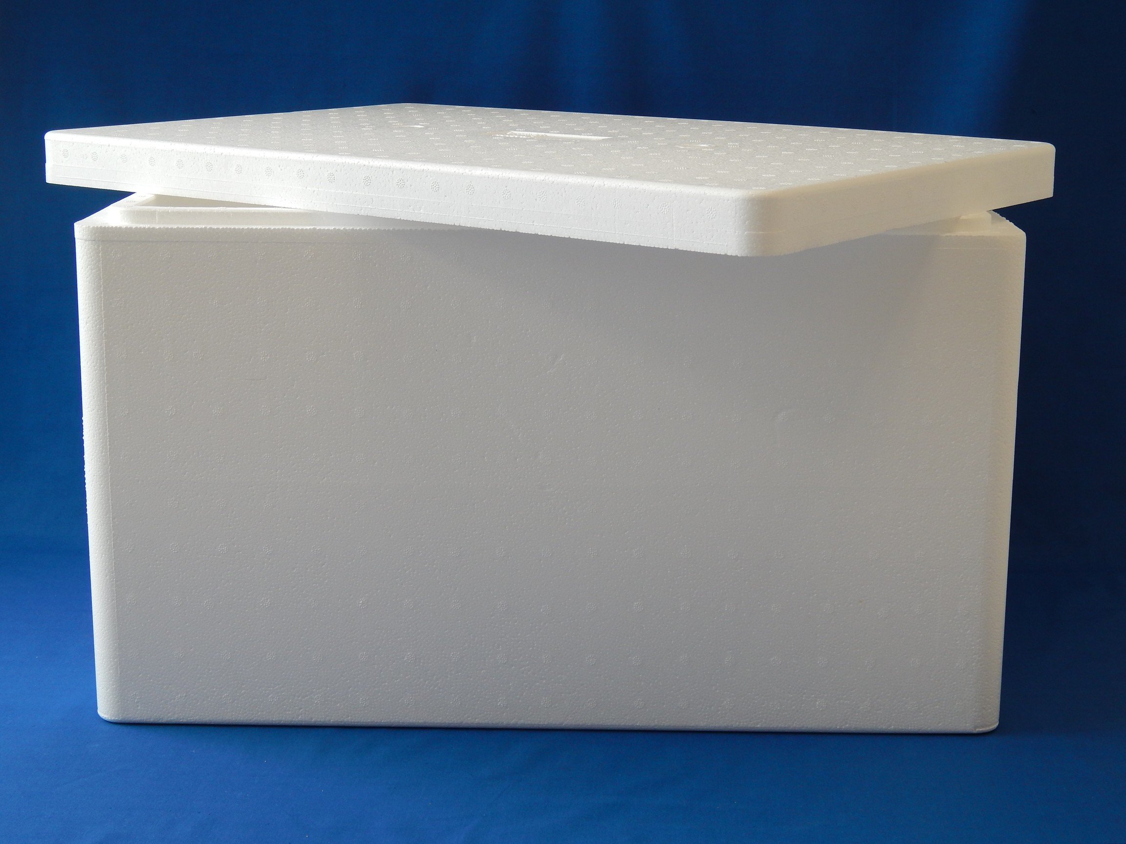 Therm-Box Boîte Isotherme XXL – 60,9 L, Paroi 3 Cm, Blanc, Pour Aliments Chauds Ou Frais, Transport Et Stockage