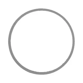 Těsnění výfuku Těsnění, výfuková trubka WALKER 80314