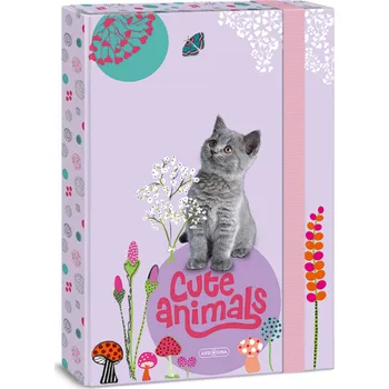 desky na sešit Ars Una Box na sešity A4 kotě