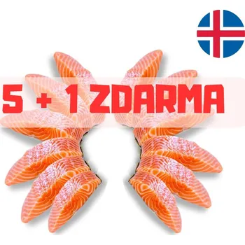 Maso a ryba Arktický losos 2 porce s kůží, bez kostí 280-300g | BOXXI