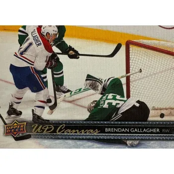 Karetní hra insert karta BRENDAN GALLAGHER 14-15 UD Ser. 1 Canvas číslo C47