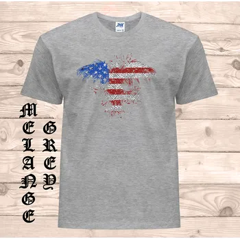 Pánské tričko panske-levne-bavlnene-tricko-americka-orlice Barva: Grey melange - šedá směs, velikost: 5XL