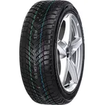 205/60 R16 92H NeoWinter M+S 3PMSF TL NEOLIN