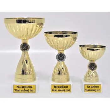 Pozemní hokej poháry 355-LAC021