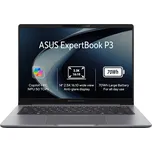 ASUS ExpertBook P3 (PM3406CKA-NZR732X)