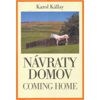 Umění Návraty domov