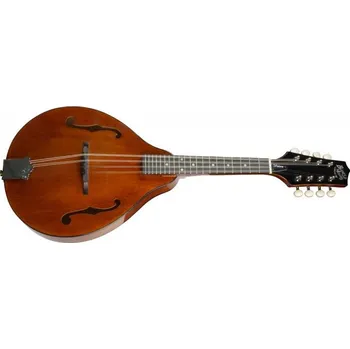 Mandolína Barnes & Mullins BM600