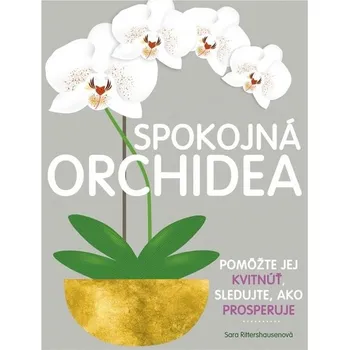 Umění Spokojná orchidea