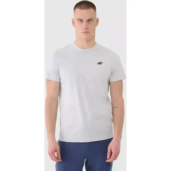 Pánské tričko Pánské tričko 4F 4F modrá | šedá 3460100