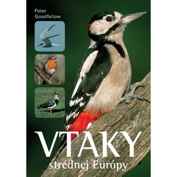 Umění Vtáky strednej Európy