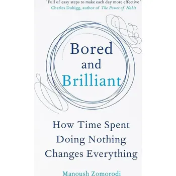 Populárně naučná literatura pro dospělé Bored and Brilliant