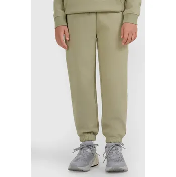 Chlapecké tepláky 4F 4F šedá | kaki 3460136