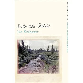 Umění Into the Wild