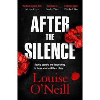 Cizojazyčná kniha After the Silence