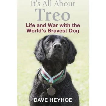 Populárně naučná literatura pro dospělé It's All About Treo