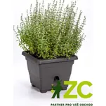 Květináč samozavlažovací Bergamot - antracit 60x60 cm