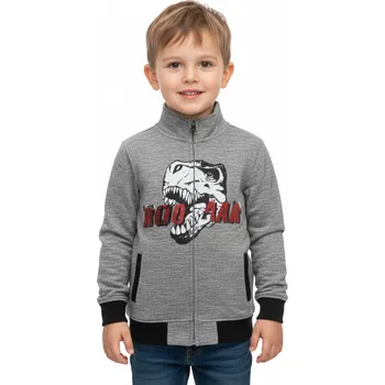 Chlapecká mikina Chlapecká mikina šedá Wolf M2845 Velikost: 98