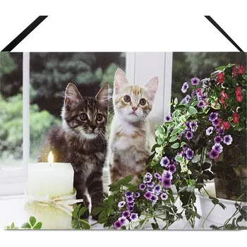 Obraz Autronic Obraz nástěnný - LED osvětlení 1 ks, zvídavé kočičky, sada 4 ks