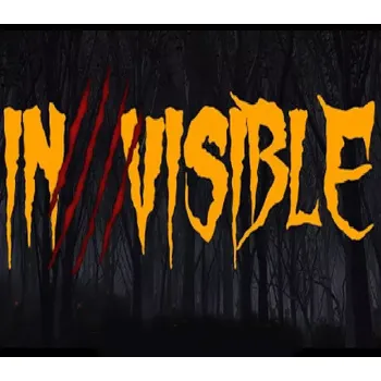 Počítačová hra Invisible