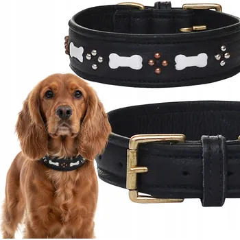 Obojek pro psa Černý kožený obojek kost M