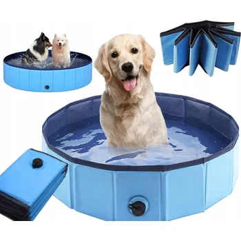 Obraz Bazén pro psa modrý 100x30 cm PVC MDF protiskluzový