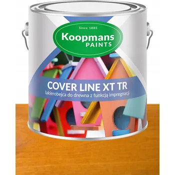 Vrták Akrylová Barva na dřevo Koompans 1 l