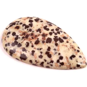 Přírodní kámen Kabošon Dalmatin Jaspis č.7418 (39x22x5mm)