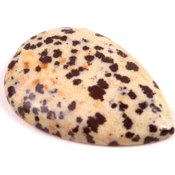 Přírodní kámen Kabošon Dalmatin Jaspis č.7423 (34x22x6mm)