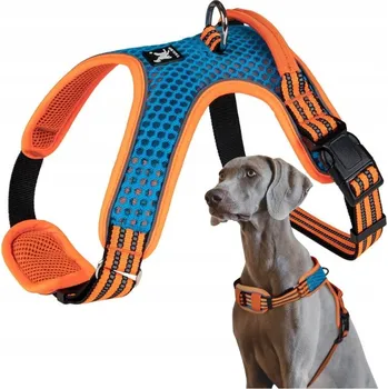 Postroj pro psa Postroj pro malého psa, štěně, nastavitelný, S