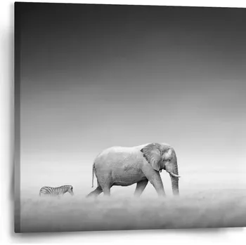 Obraz Sablio Obraz Slon a zebra - 50x50 cm
