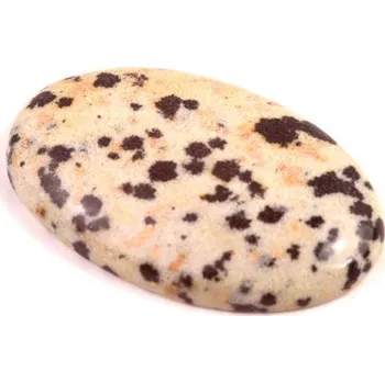 Přírodní kámen Kabošon Dalmatin Jaspis č.7426 (31x19x5mm)