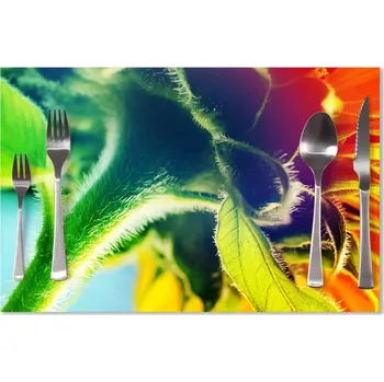 prostírání Sablio Prostírání Duhová květina: 40x30cm