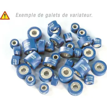 Auto-moto Variátorové válečky POLINI 25X16 G. 17,0 242.396
