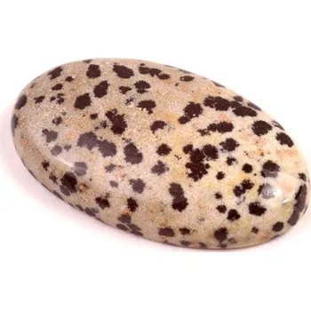 Přírodní kámen Kabošon Dalmatin Jaspis č.7429 (36x21x8mm)