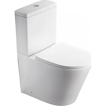 Klozet Swiss Aqua Technologies Infinitio SATINF031VPSNWM