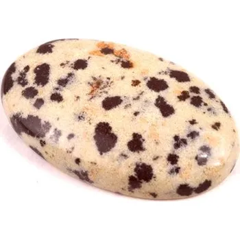 Přírodní kámen Kabošon Dalmatin Jaspis č.7427 (27x17x5mm)