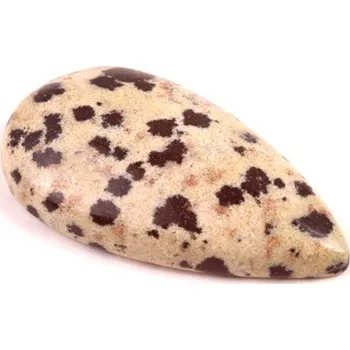 Přírodní kámen Kabošon Dalmatin Jaspis č.7428 (29x16x6mm)