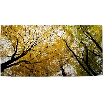 Osuška Sablio Ručník Koruny stromů - 30x50 cm