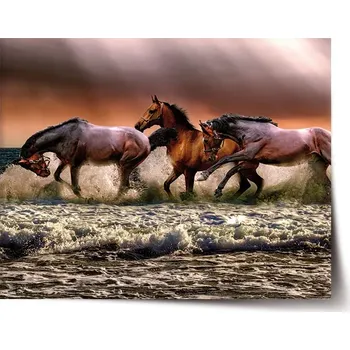 Plakát Sablio Plakát Koně ve vodě - 60x40 cm