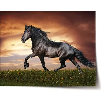 Plakát Sablio Plakát Friský kůň - 120x80 cm